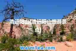 清远阳山(清远阳山旅游景点)
