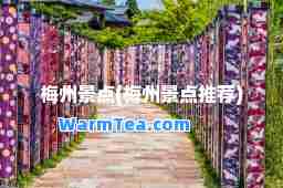 梅州景点(梅州景点)