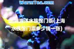 上海海洋水族馆门票(上海水族馆门票多少钱一张)
