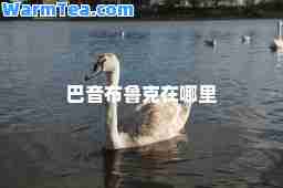 巴音布鲁克在哪里