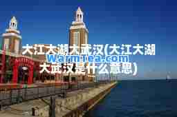 大江大湖大武汉(大江大湖大武汉是什么意思)