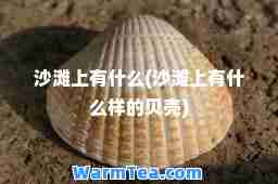 沙滩上有什么(沙滩上有什么样的贝壳)