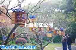 上海滨江公园