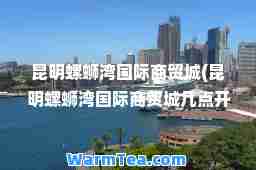 昆明螺蛳湾商贸城(昆明螺蛳湾商贸城几点开门)