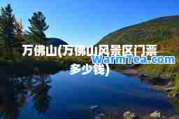 万佛山(万佛山风景区门票多少钱)