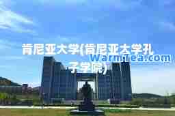 肯尼亚大学(肯尼亚大学孔子学院)