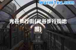 光谷步行街(光谷步行街地图)