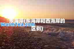 东海岸(东海岸和西海岸的区别)