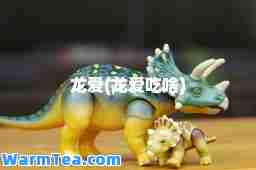 龙爱(龙爱吃啥)