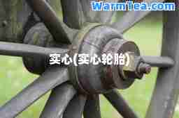 实心(实心轮胎)