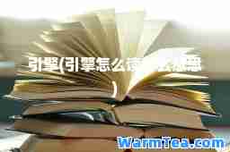 引擎(引擎怎么读什么意思)