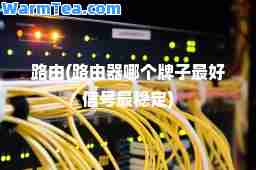 路由(路由器哪个牌子最好信号最稳定)