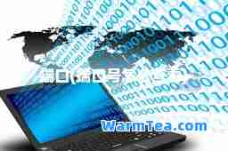 端口(端口号怎么查看)