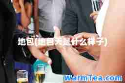 地包(地包天是什么样子)
