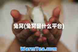 兔窝(兔窝是什么平台)