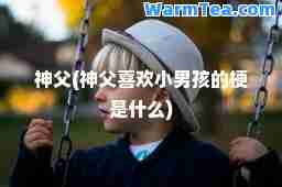父(父喜欢小男孩的梗是什么)
