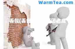 丢包(丢包是什么原因造成的)