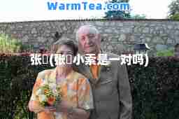 张佺(张佺小索是一对吗)