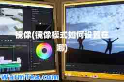 镜像(镜像模式如何设置在哪)