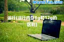 运行(运行内存8g和12g的区别)