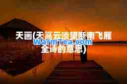 天画(天高云淡望断南飞雁全诗的意思)