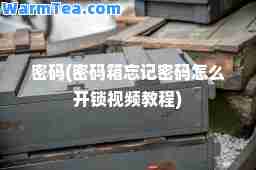 密码(密码箱忘记密码怎么开锁视频教程)