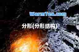 分形(分形结构)