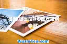 包图(包图是静态图还是动态图)