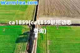 ca1859(ca1859航班动态查询)