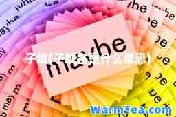 子域(子域名是什么意思)