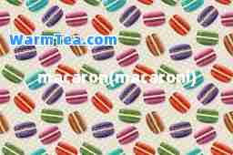 macaron(macaroni)