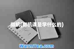 微机(微机课是学什么的)