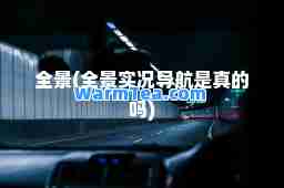 全景(全景实况导航是真的吗)