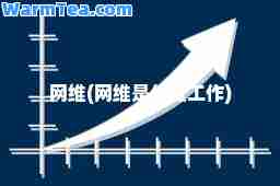 网维(网维是什么工作)