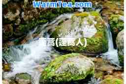 蓬蒿(蓬蒿人)