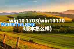 win10 1703(win101703版本怎么样)