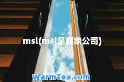 msl(msl是哪家公司)