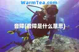 音障(音障是什么意思)