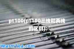 pt100(pt100三线和两线的区别)