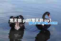 黑天鹅 pdf(黑天鹅 pv)