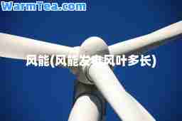 风能(风能发电风叶多长)