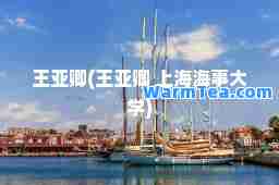 王亚卿(王亚卿 上海海事大学)