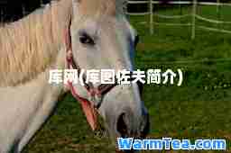 库网(库图佐夫简介)
