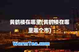 黄鹤楼在哪里(黄鹤楼在哪里哪个市)
