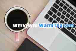 wmv(wmv格式文件)