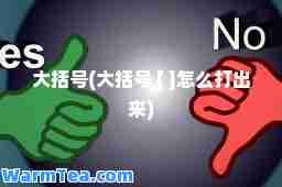 大括号(大括号 [ ]怎么打出来)