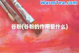 谷粉(谷粉的作用是什么)