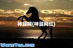 算网(算网红)