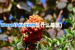干货(干货是什么意思)