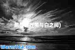 黑与白2(黑与白之间)